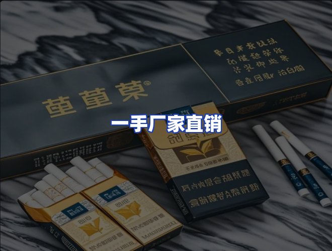专业团队